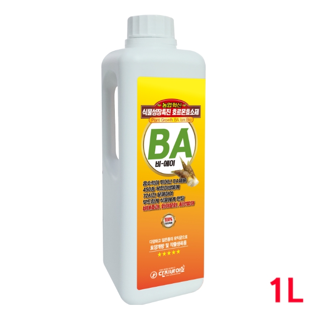 BA  1L 